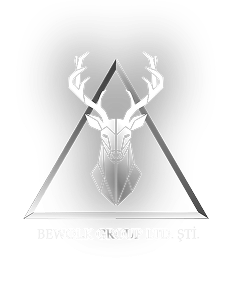 Bewolk Group Logo